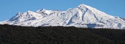 Turangi
